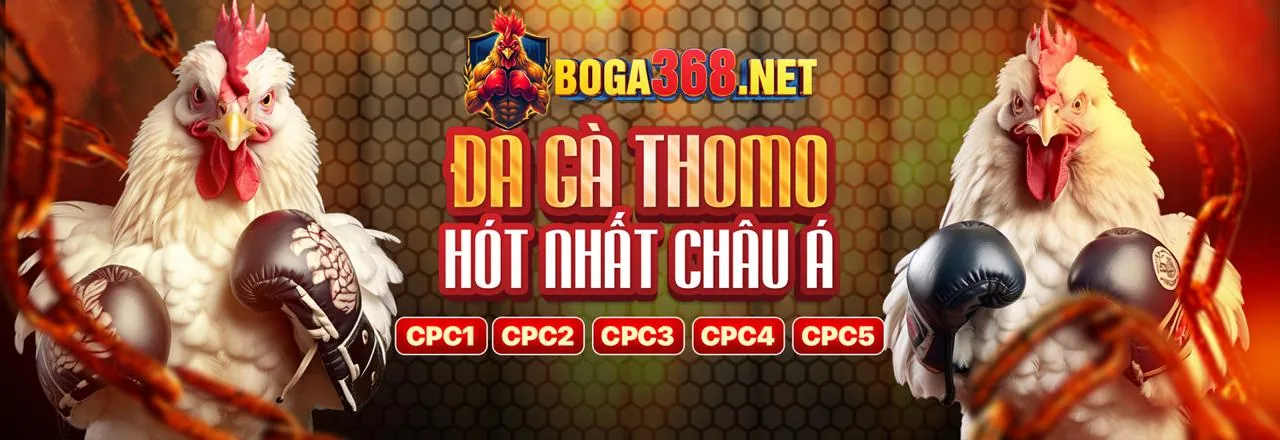 Hình ảnh chính blog 888neu nhà cái